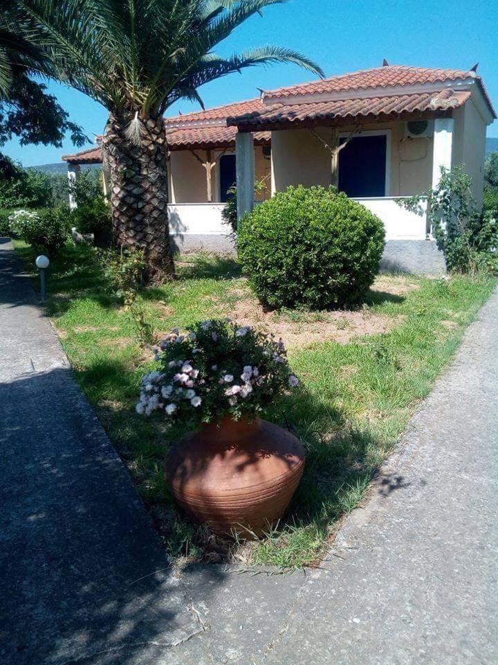 Anna Daniil Oasi Lesvos * Skala Kallonis