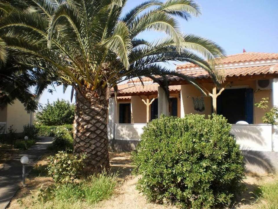 Anna Daniil Oasi Lesvos Skala Kallonis