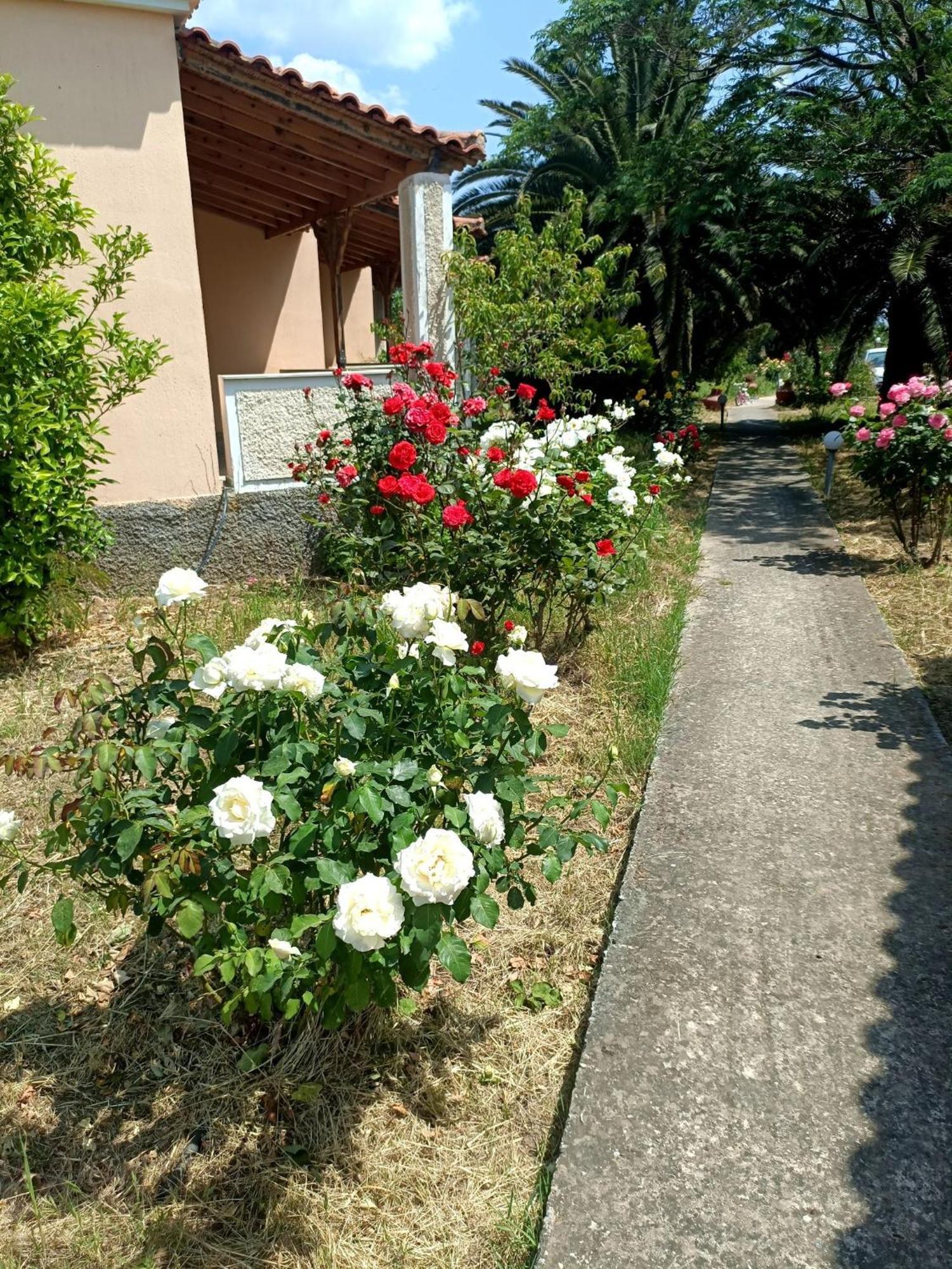 Anna Daniil Oasi Lesvos Holiday home Skala Kallonis